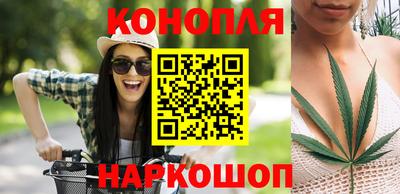 прущие крисы Славгород