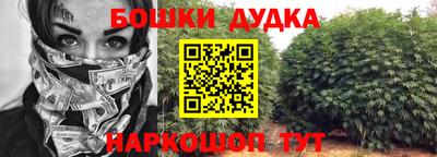 прущие крисы Славгород