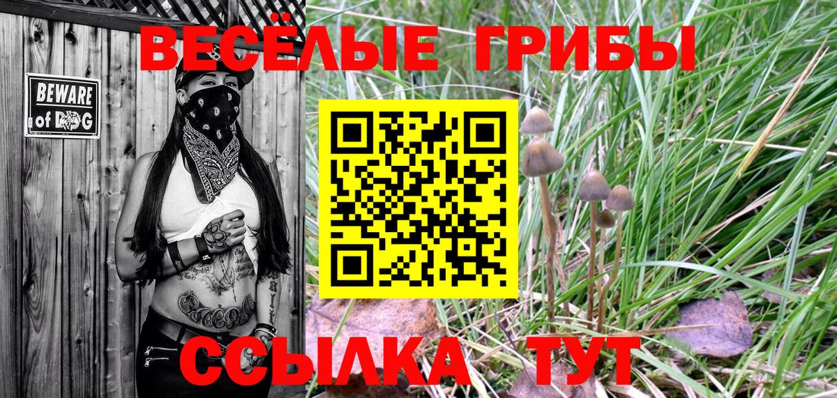 Назрань  Галлюциногенные грибы GOLDEN TEACHER  Вход с VPN 